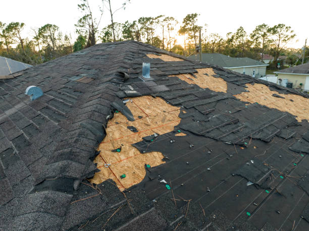 Best Emergency Roof Repair Services  in Jackson, LA